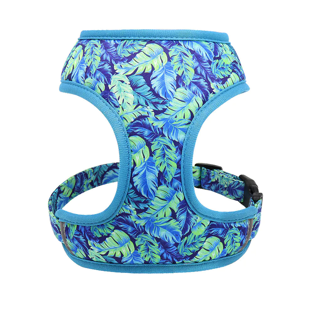 Dog Leash for Puppies