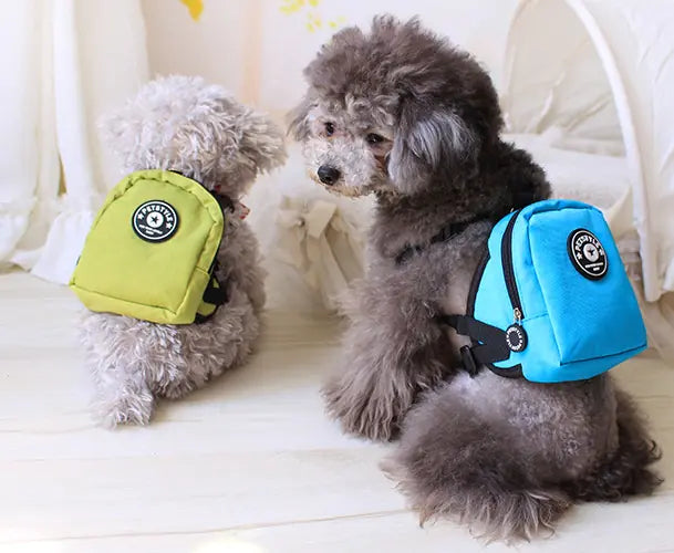 Multifunctional dog leash with backpack