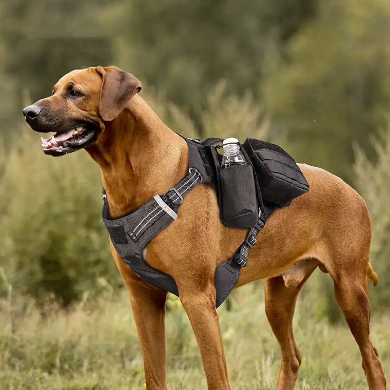 Dog Harness with Storage Bag