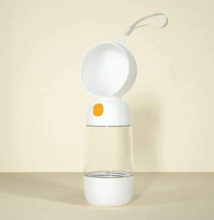 Portable water bottle
