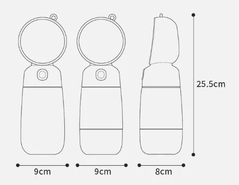 Portable water bottle