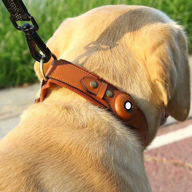 leren hondenhalsband met locatiezoeker