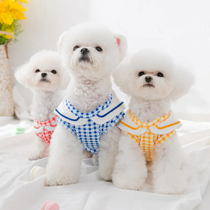 Hemden voor kleine en middelgrote honden