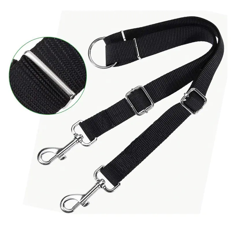Multifunctional dog leash with two heads