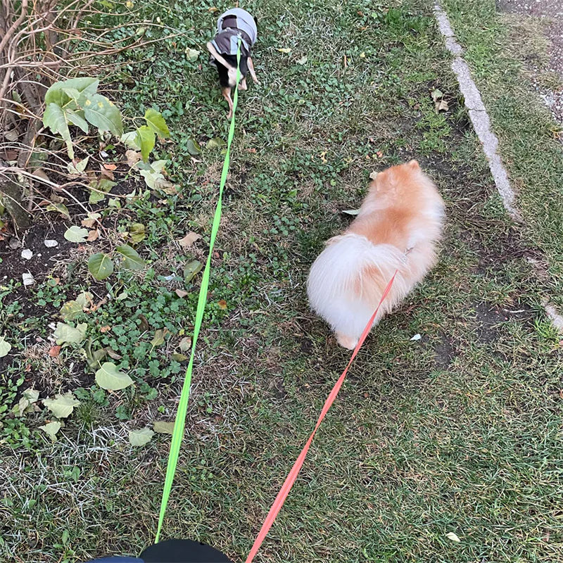 Laisse double pour chien avec lumière LED et compartiment de rangement pour sacs à crottes