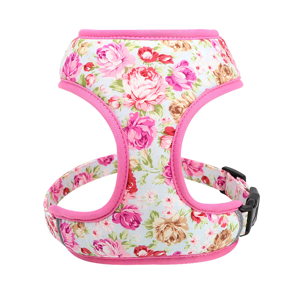 Dog Leash for Puppies