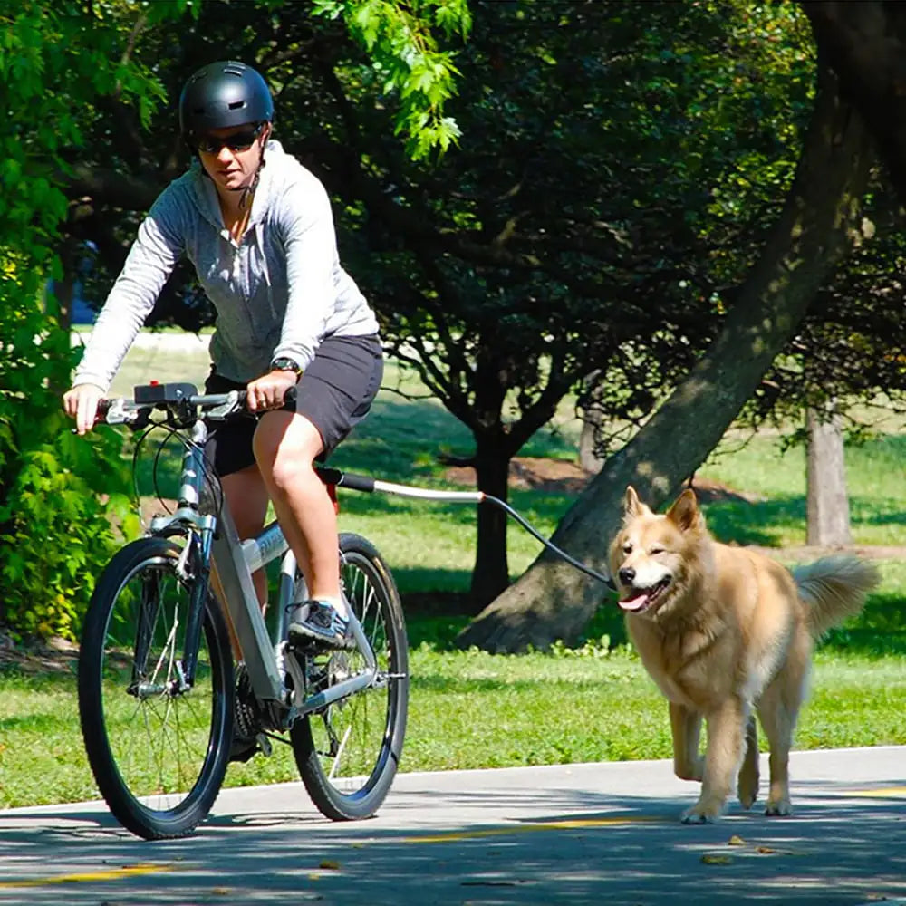 Laisse pour chien en acier inoxydable pour les aventures à vélo