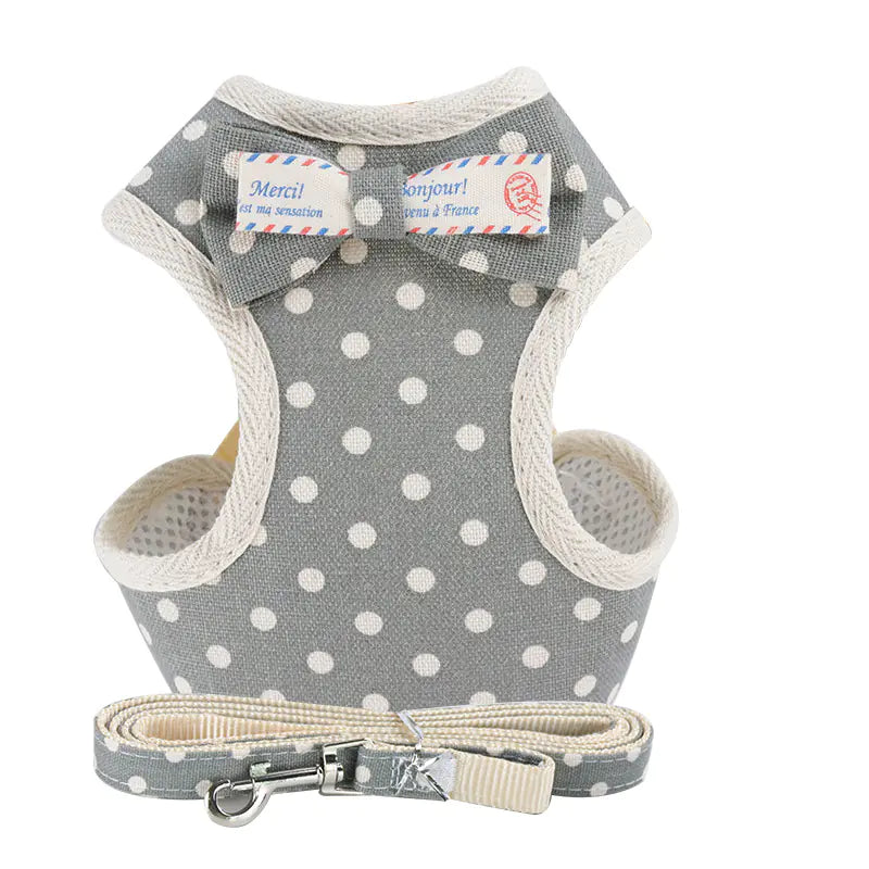 Combinaison pour chien avec laisse