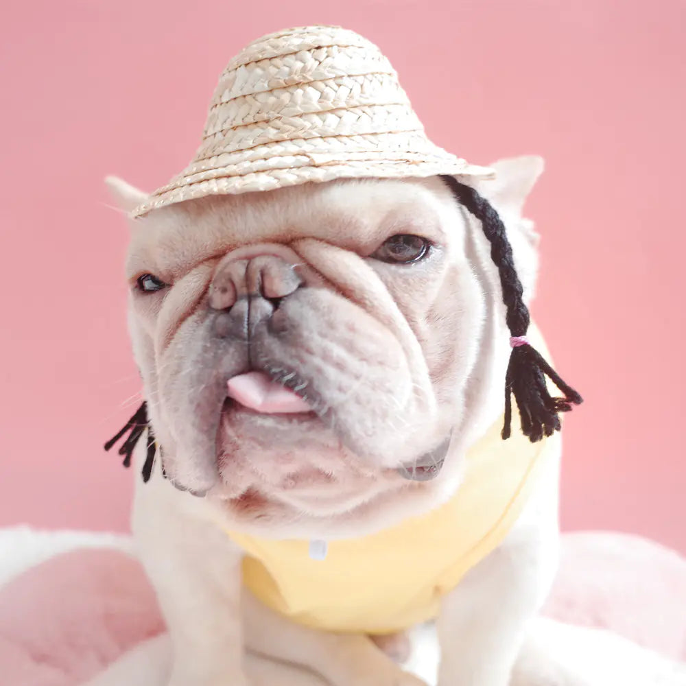 Dog and cat double braided straw hat (French style)