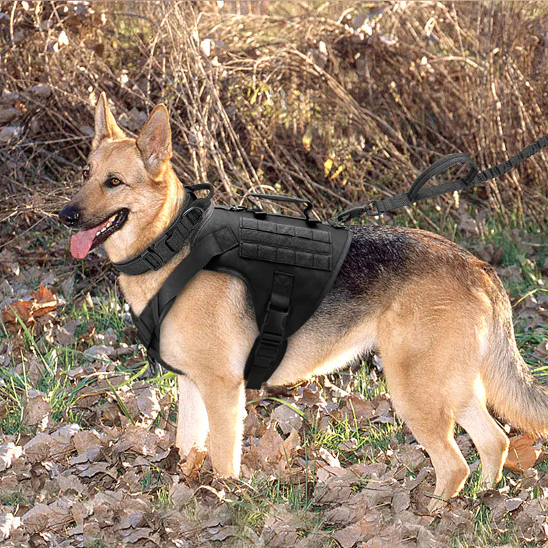 Gilet harnais de poitrine Tactics K9.