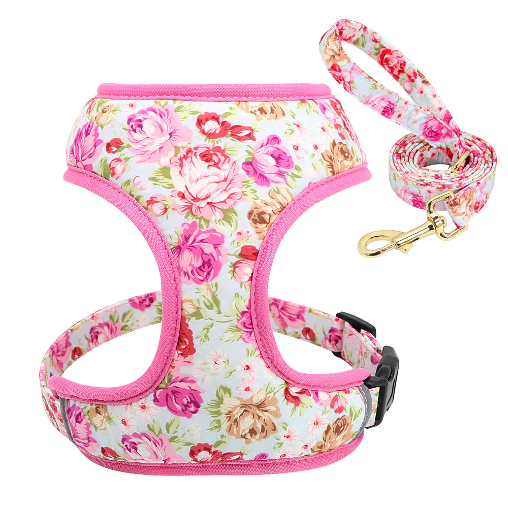Dog Leash for Puppies