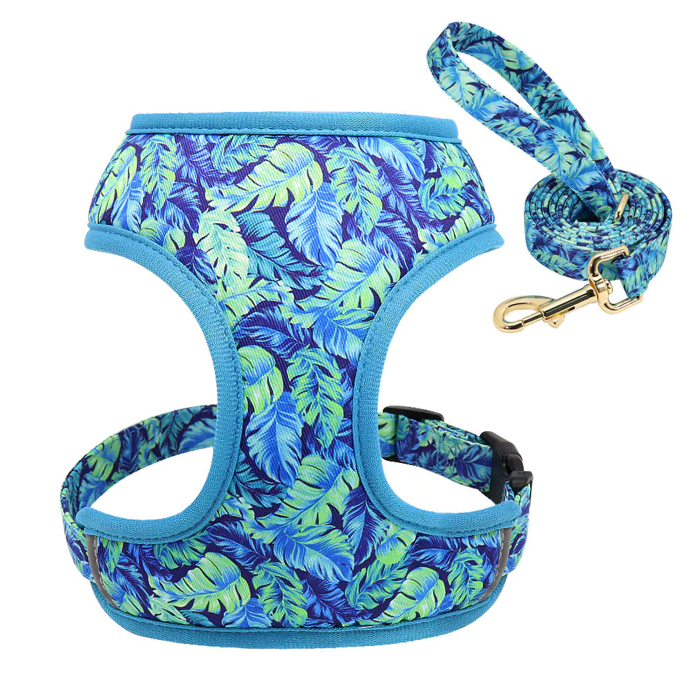 Dog Leash for Puppies