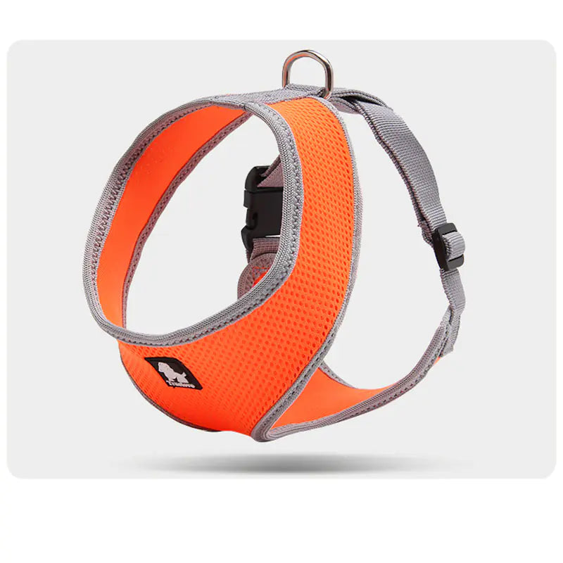 harness