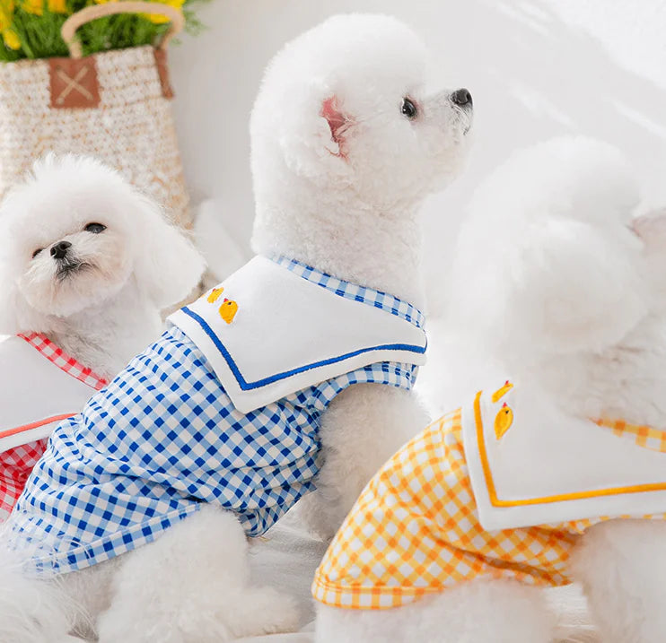 Hemden voor kleine en middelgrote honden