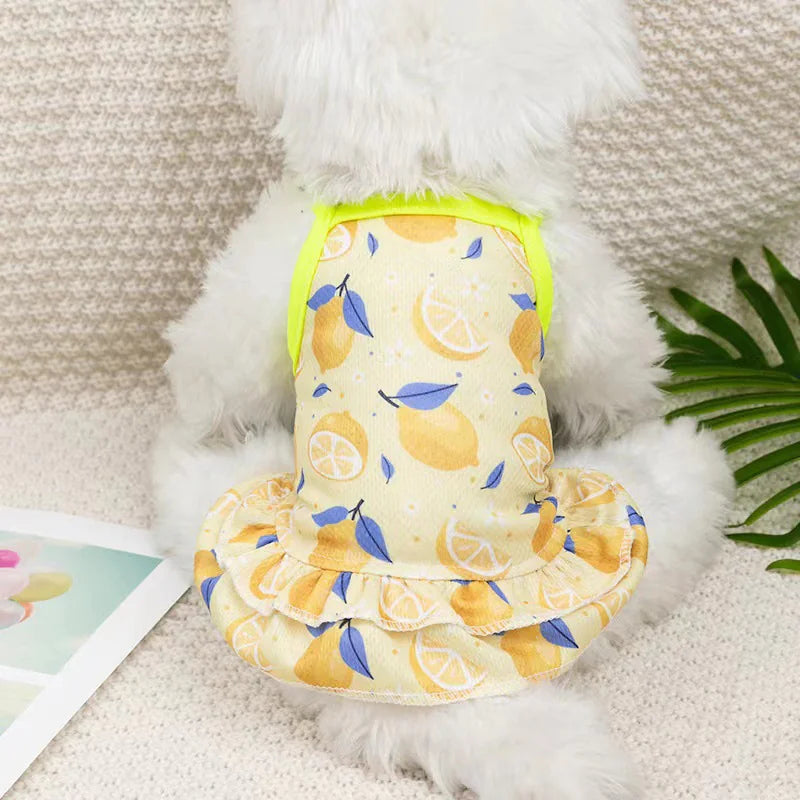 Zomer Fruit HondenKleding voor Comfortabel Dragen