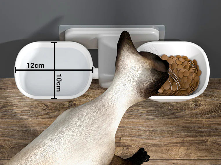 Wall-mounted food and water bowl