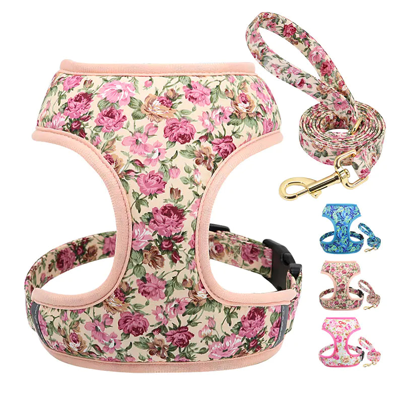 Dog Leash for Puppies