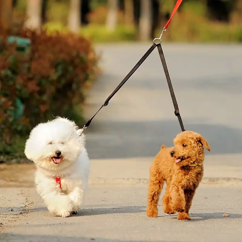 Dubbele hondenriemkoppeling voor het uitlaten van twee honden