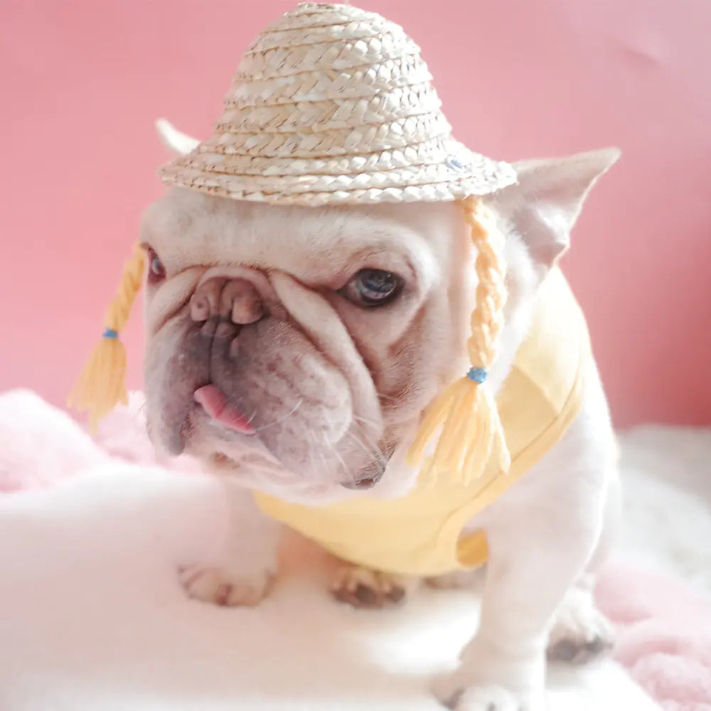 Dog and cat double braided straw hat (French style)