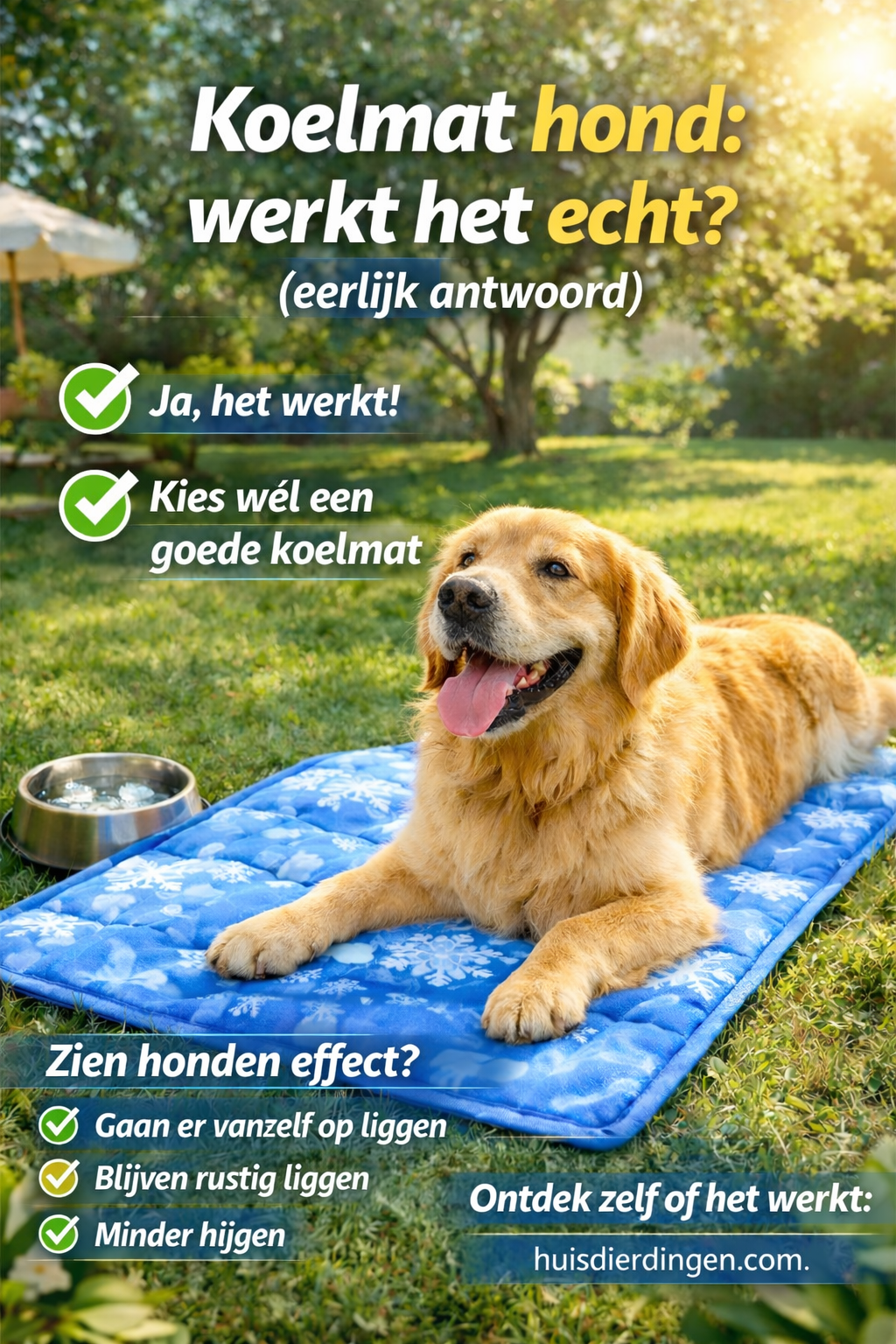 Koelmat hond: werkt het echt? (eerlijk antwoord)