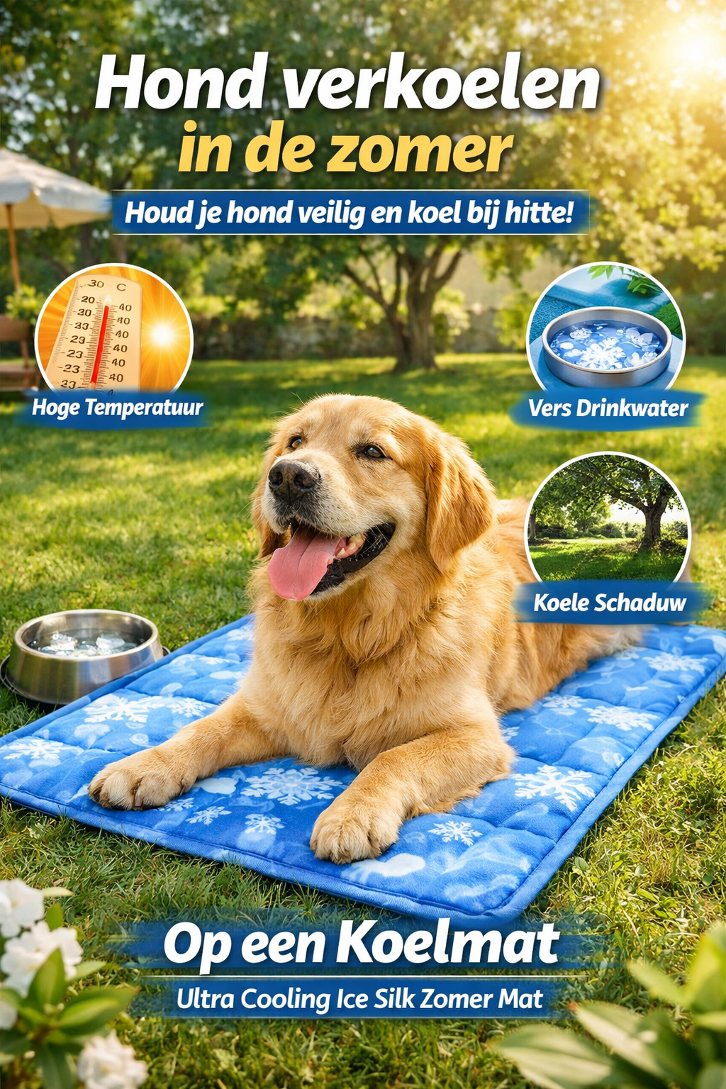 beste koelmat hond vergelijking en keuzehulp