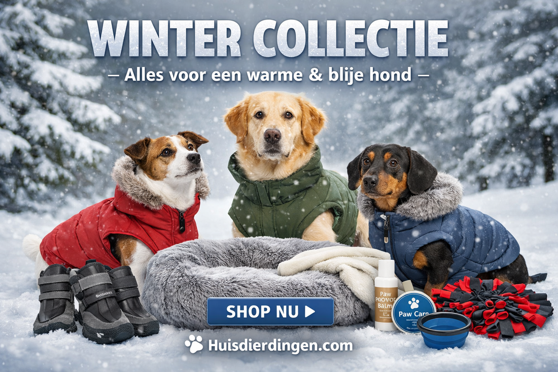 https://www.huisdierdingen.com/collections/winter-collectie