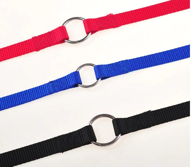 Double dog leash coupling for walking two dogs