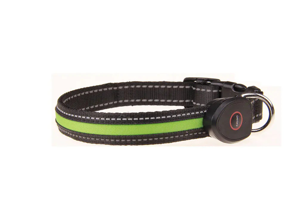 Collier lumineux rechargeable par USB pour chien