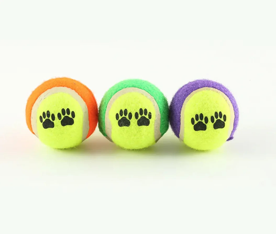 Dog Training Throwing Stick Outdoor Toy