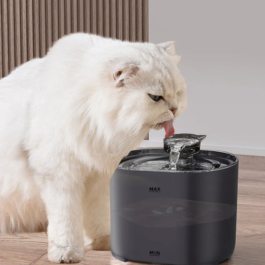 Waterfontein voor katten