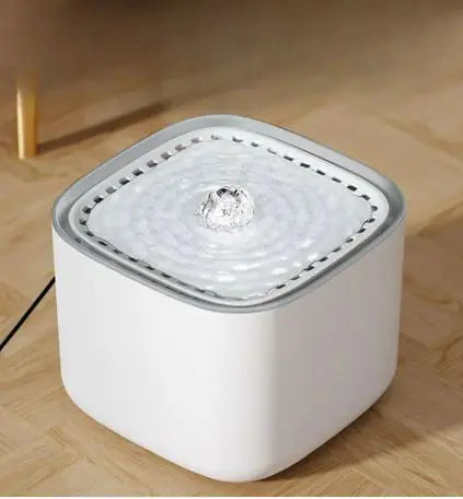 Fontaine à eau pour chats