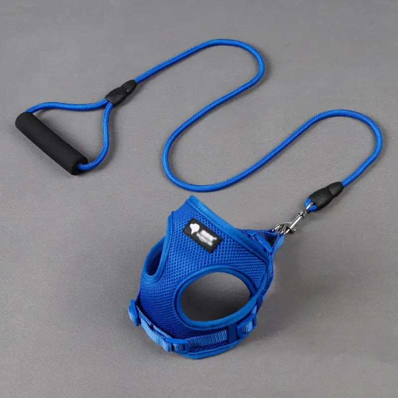 Dog leash and collar set