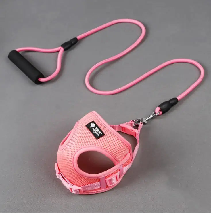 Dog leash and collar set