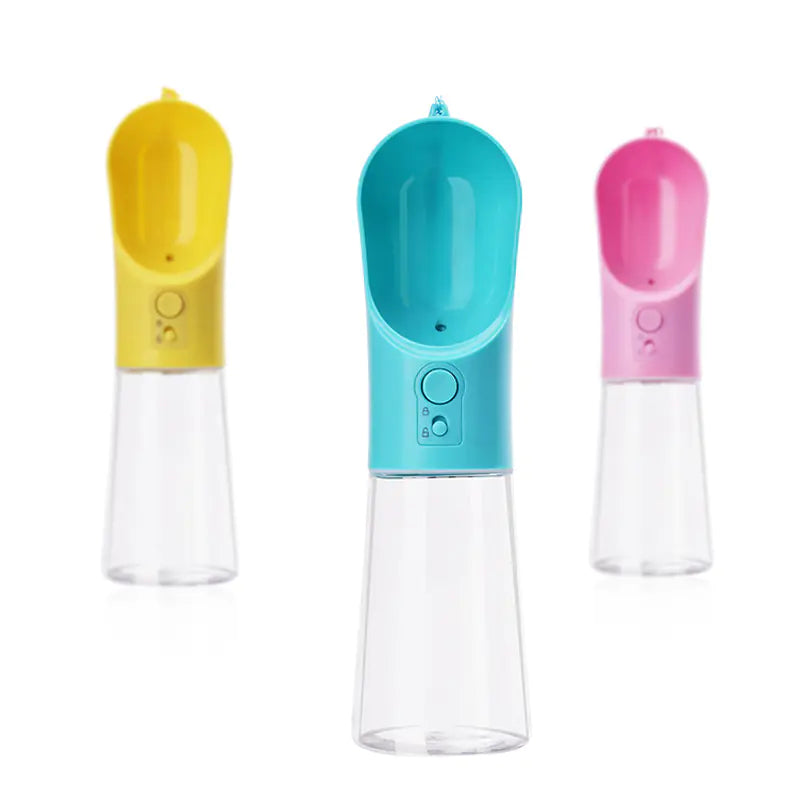 Portable water bottle