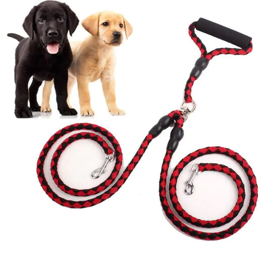 Two-line dog leash with collar