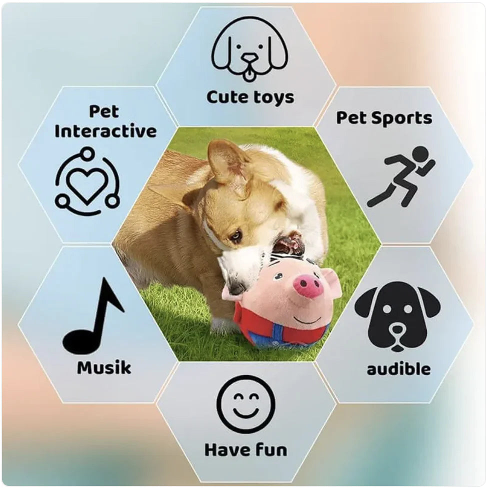 Bouncing Squeaky Dog Toy