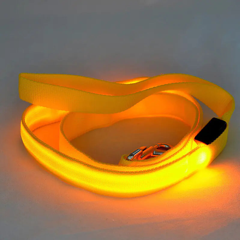 LED Light Up Dog Leash for Night Walks