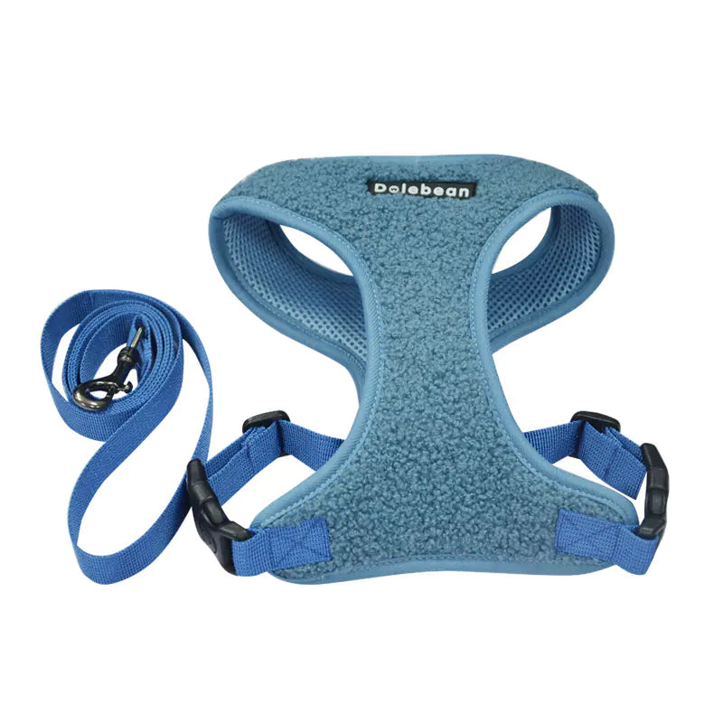 Double Buckle Dog Leash and Chest Strap Combo
