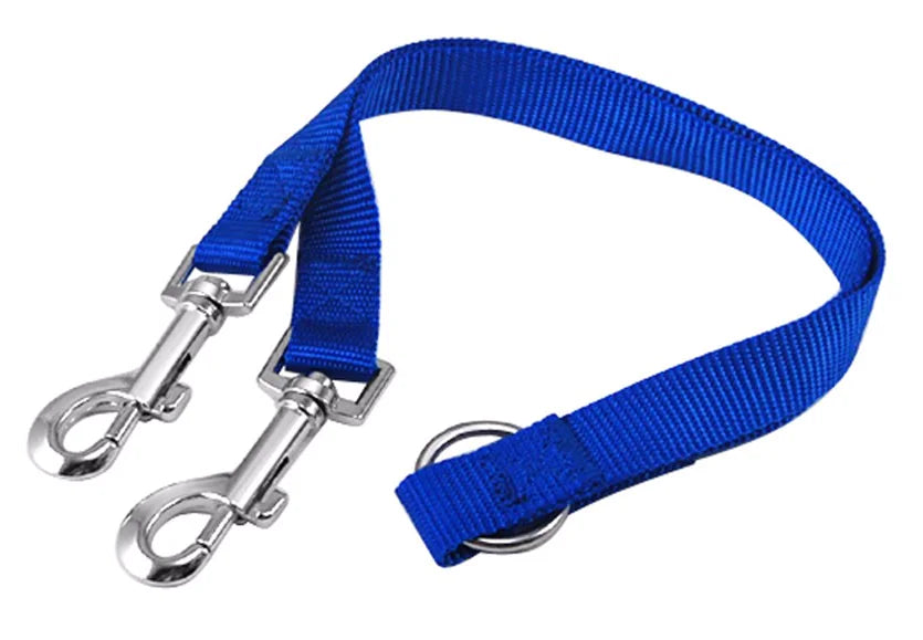 Double dog leash coupling for walking two dogs