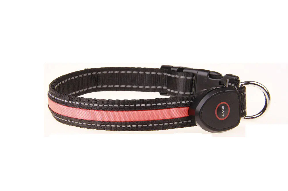 Collier lumineux rechargeable par USB pour chien