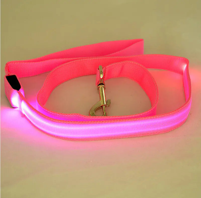 LED Light Up Dog Leash for Night Walks