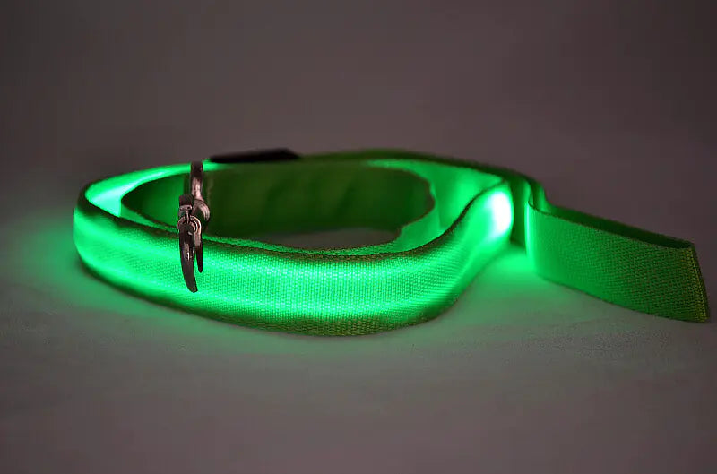 LED Light Up Dog Leash for Night Walks
