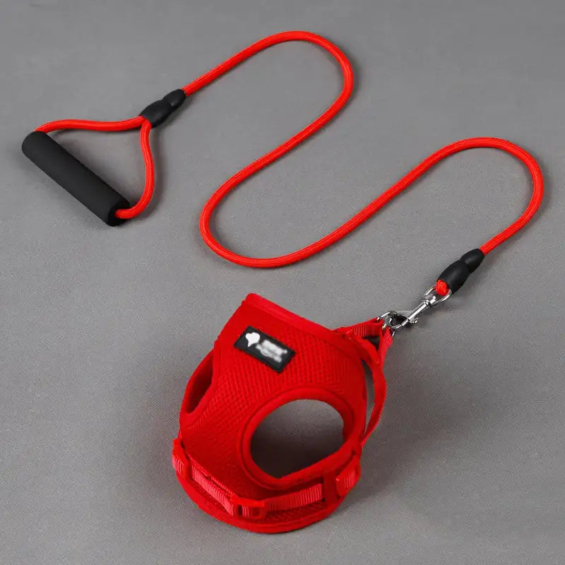 Dog leash and collar set