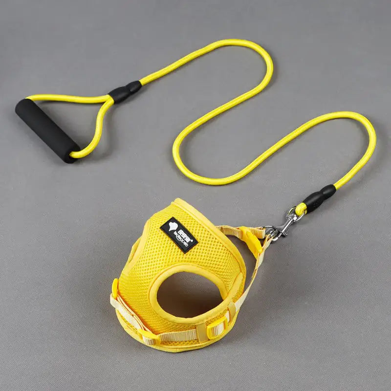 Dog leash and collar set