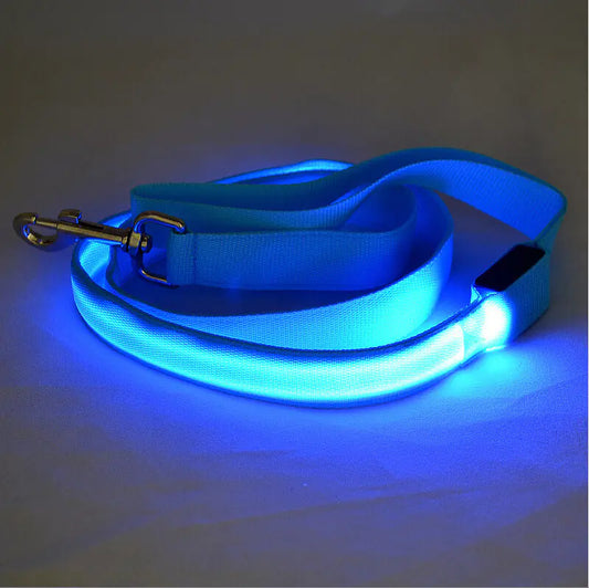 LED oplichtende hondenriem voor nachtelijke wandelinge
