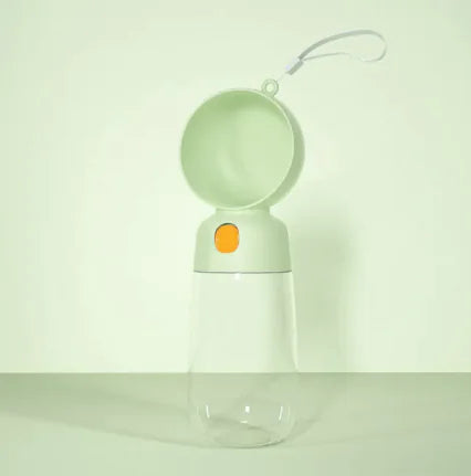 Portable water bottle