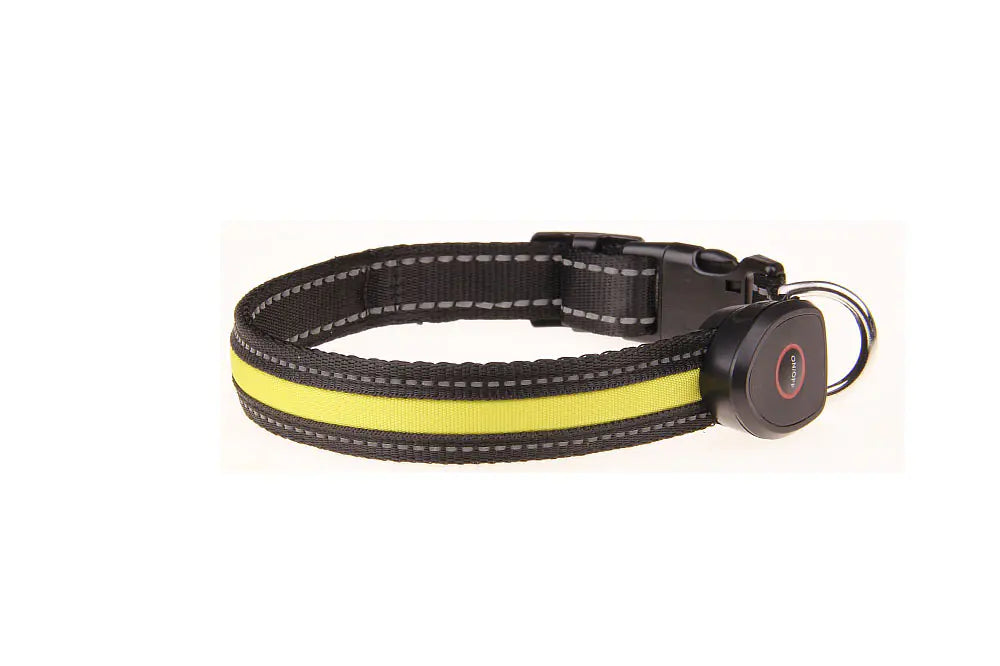Collier lumineux rechargeable par USB pour chien