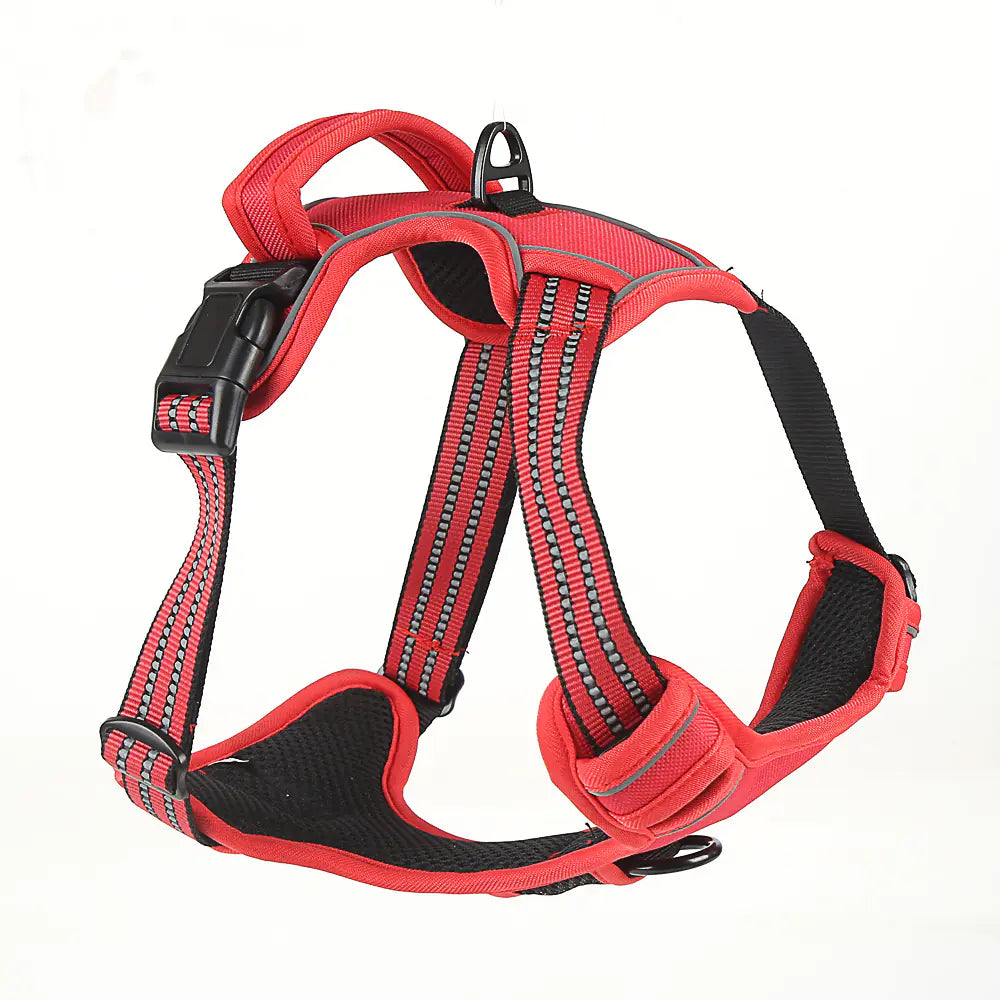 Universal Reflective Dog Leash and Harness