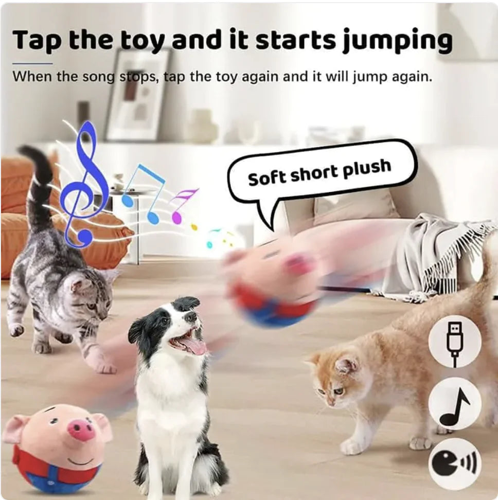 Bouncing Squeaky Dog Toy