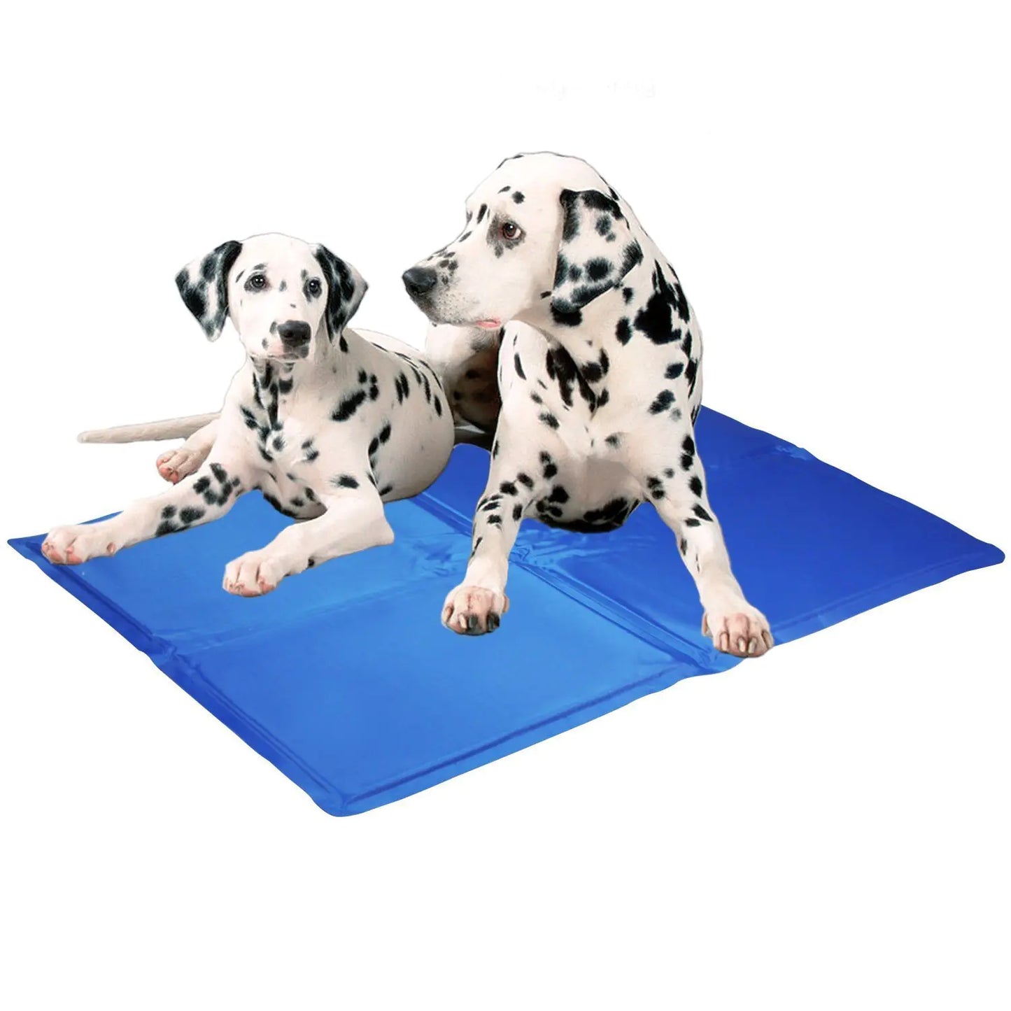 Honden en kattenkoelmat voor in de zomer